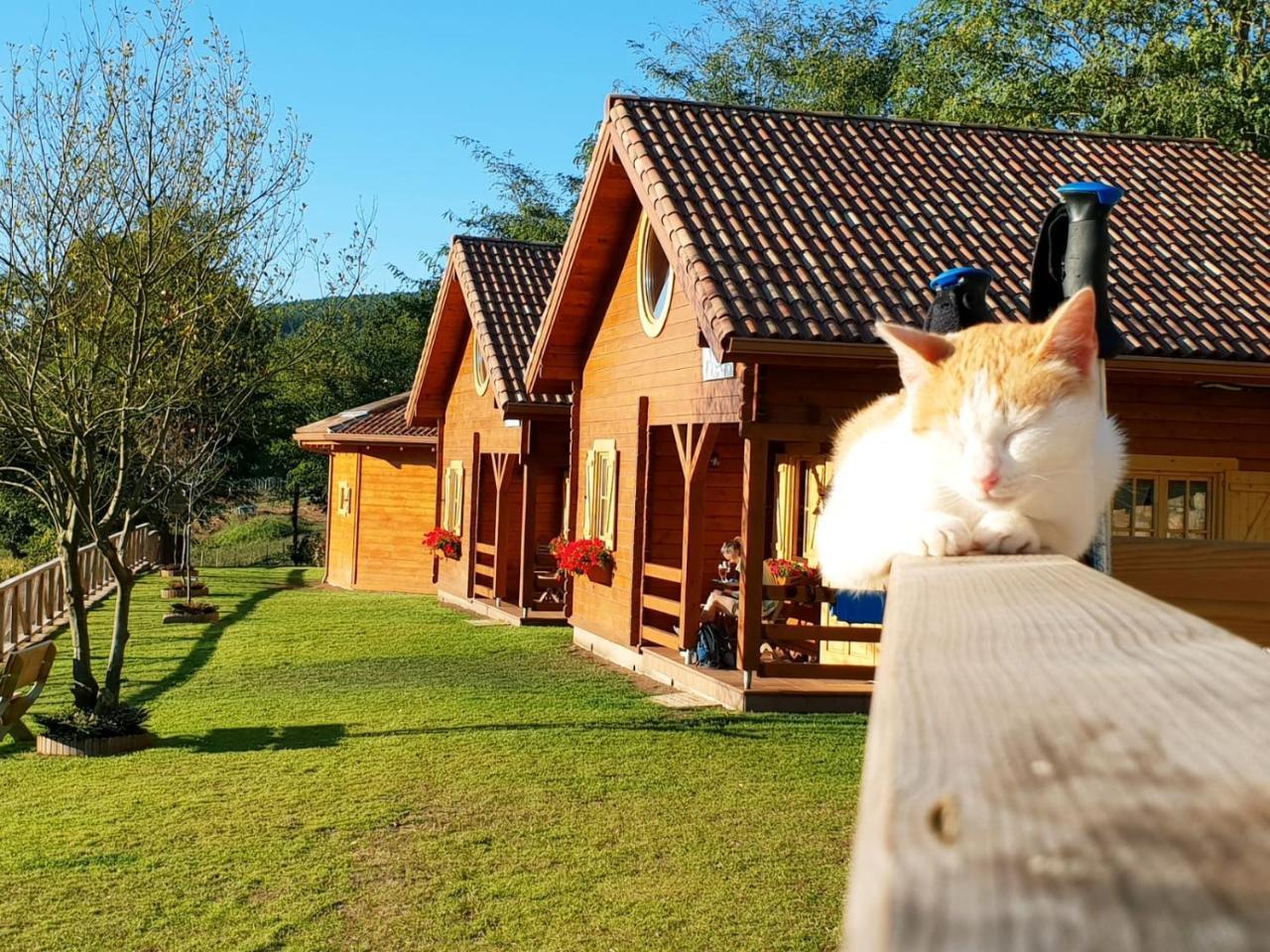 Cabanas Da Ria Лирес Экстерьер фото